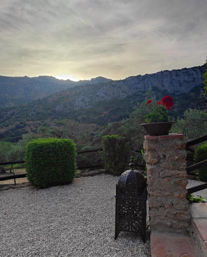 Posada Del Moral Benaoján Buitenkant foto