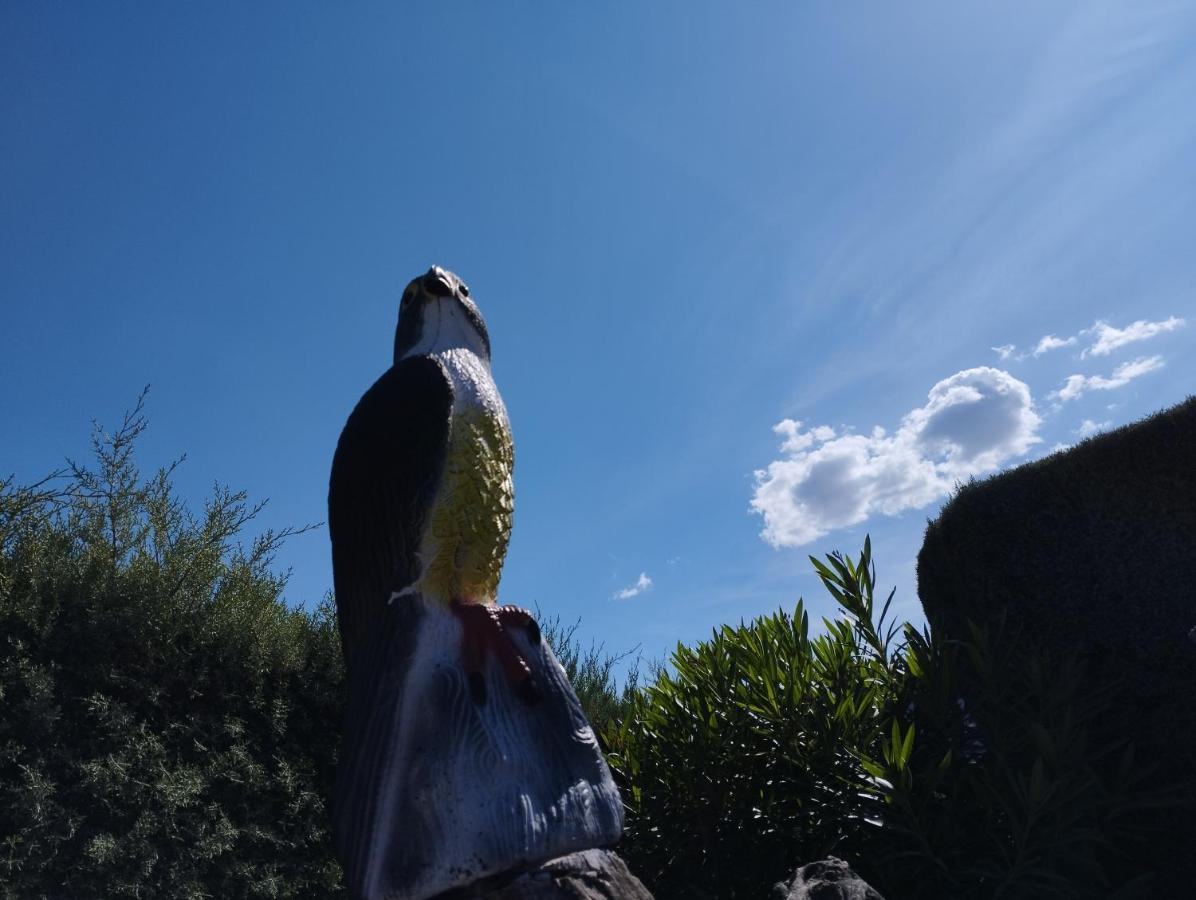Posada Del Moral Benaoján Buitenkant foto
